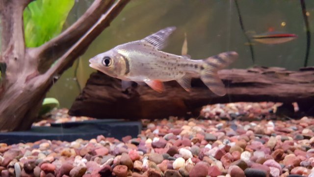 20151214_191801.jpg