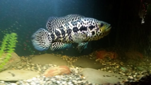 20151216_214442.jpg