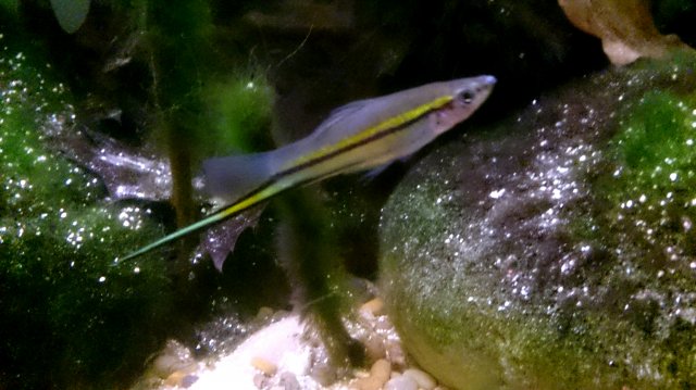 _20151216_171344.JPG