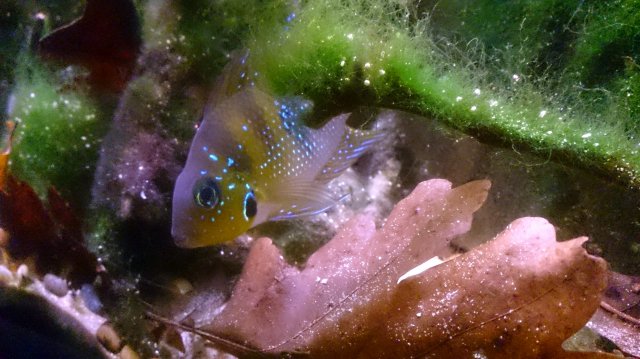 _20151216_104048.JPG