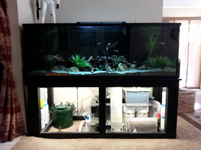 20151020_142105.jpg