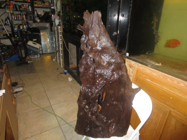 IMG_2004.JPG IMG_2004.JPG