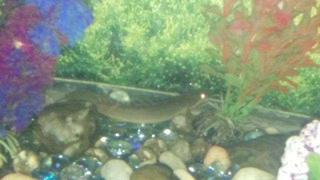 20151217_221134.jpg