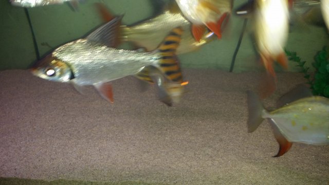 20151021_013423.jpg 20151021_013423.jpg