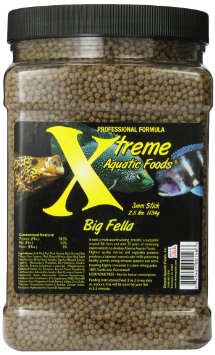 fish food.jpg