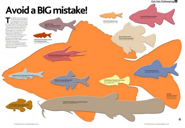 bigmistake.jpg