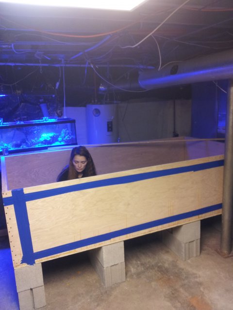 tank build 001 (2).jpg