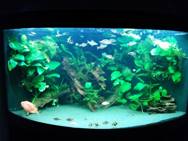 tank update 21.12.15.jpg