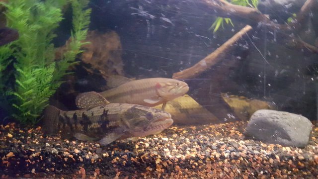 20151221_183805.jpg