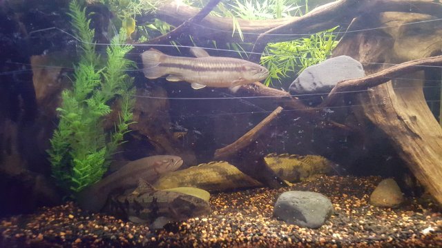 20151221_183453.jpg