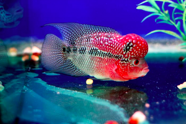 upload_2015-12-23_17-19-43.png upload_2015-12-23_17-19-43.png