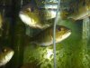 DSC01115.JPG