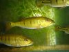 DSC01117.JPG
