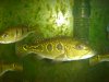 DSC01119.JPG