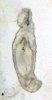 gyrodactylus_02.jpg