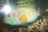 Picture or Video 036.jpg