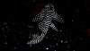 DSCN3261.JPG