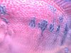 DSCN2230.JPG