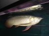 DSC01751.jpg
