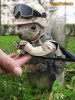 FunnyPart-com-military_squirrel.jpg