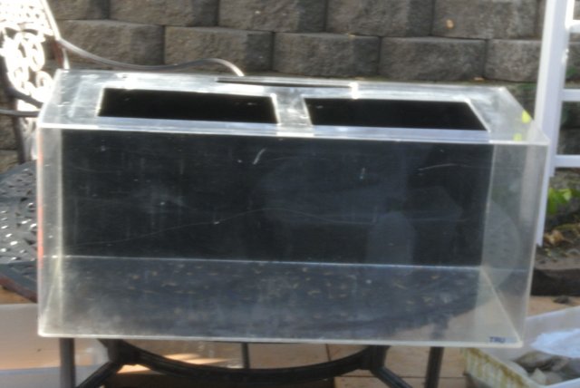 DSC_4076.JPG DSC_4076.JPG