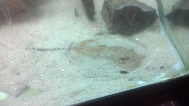 IMG_20151229_165955_775.jpg