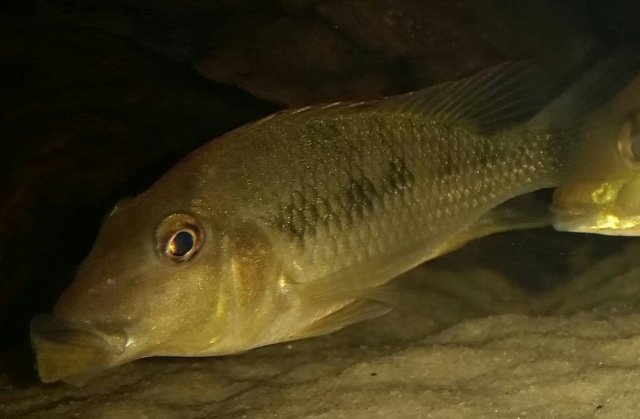 20151222_110751-1-1.jpg