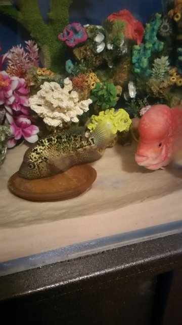 20160102_030021.jpg 20160102_030021.jpg