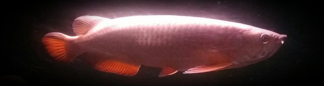 2016-01-02 20.10.18.jpg