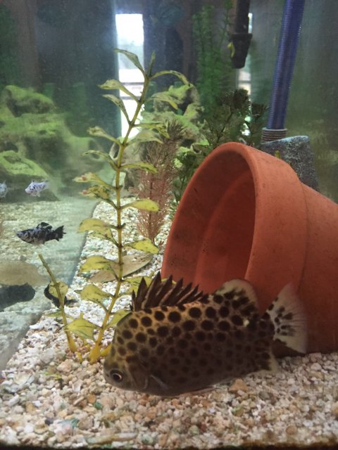 image.jpeg image.jpeg