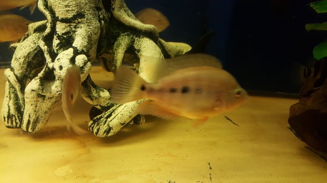 20160104_214458.jpg