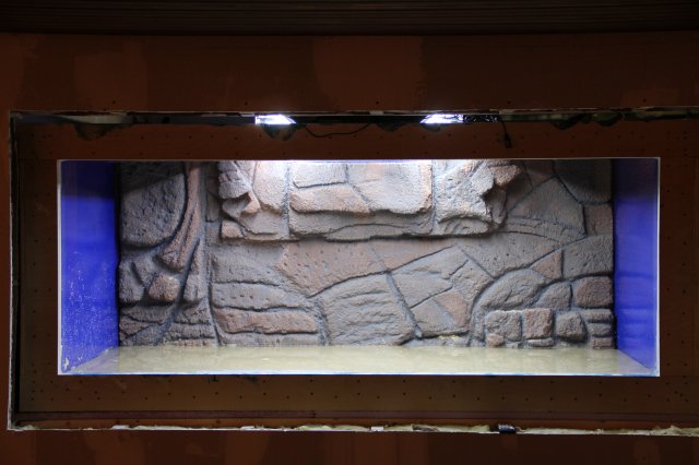 IMG_6251.JPG IMG_6251.JPG