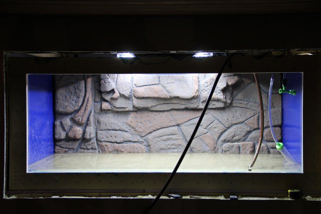 IMG_6253.JPG IMG_6253.JPG