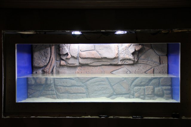 IMG_6254.JPG IMG_6254.JPG