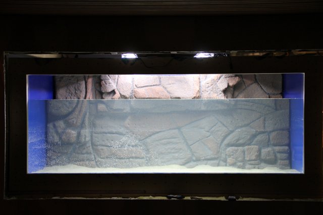 IMG_6255.JPG IMG_6255.JPG