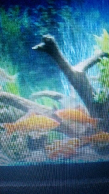 20160114_214750.jpg 20160114_214750.jpg