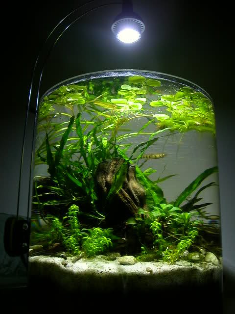 cylinder scape 2.jpg