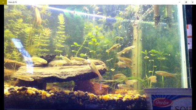 Screenshot (50).png Screenshot (50).png