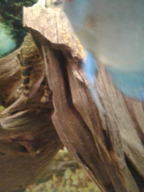 20160115_153927.jpg
