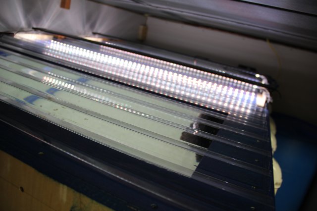 IMG_6270.JPG IMG_6270.JPG