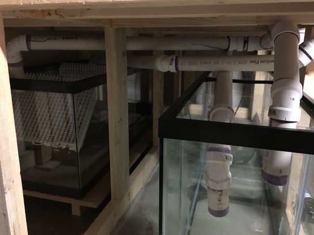 IMG_1920.JPG IMG_1920.JPG