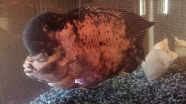 20160116_155554.jpg