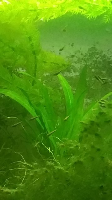 20160116_171353.jpg