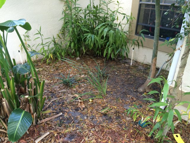 image.jpeg image.jpeg