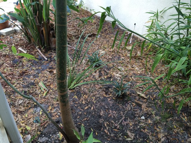 image.jpeg image.jpeg