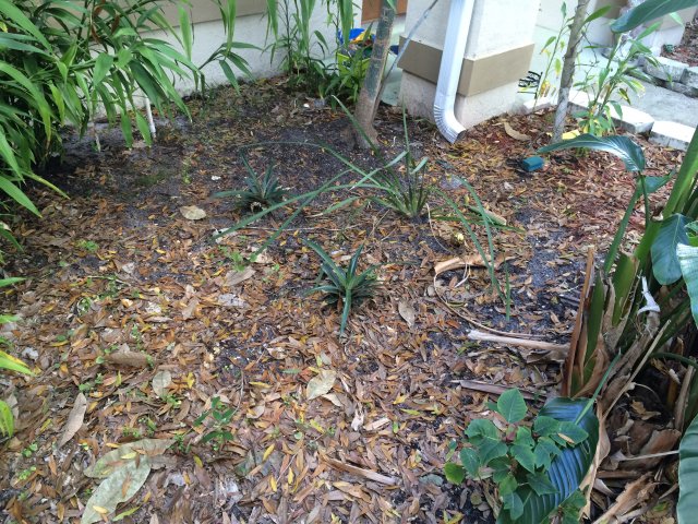 image.jpeg image.jpeg