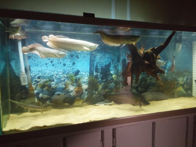 20160117_004941.jpg