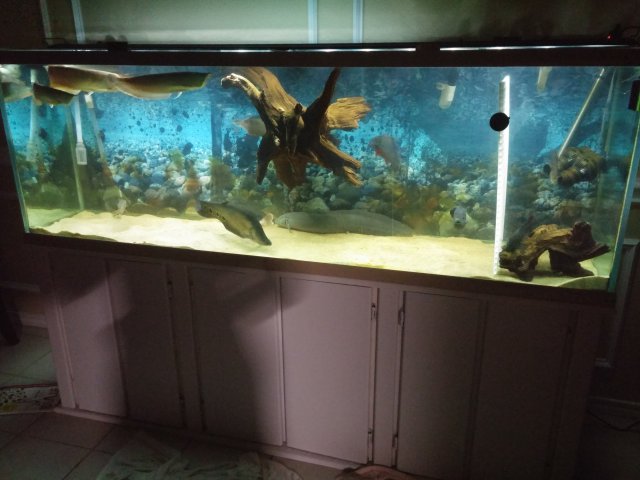 20160117_004935.jpg