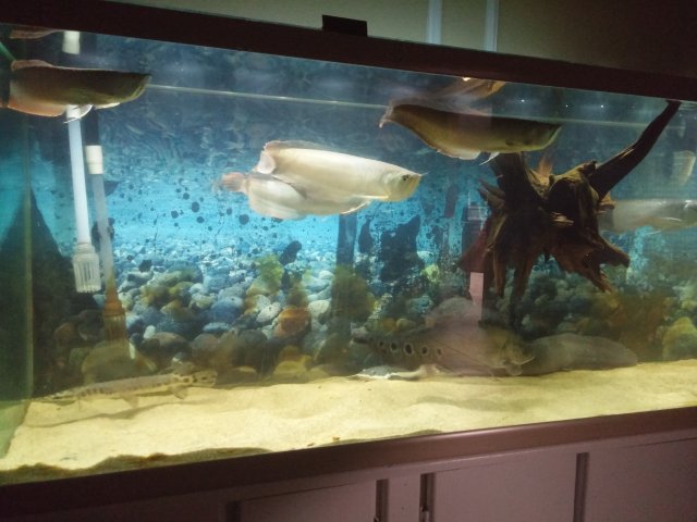 20160117_004946.jpg