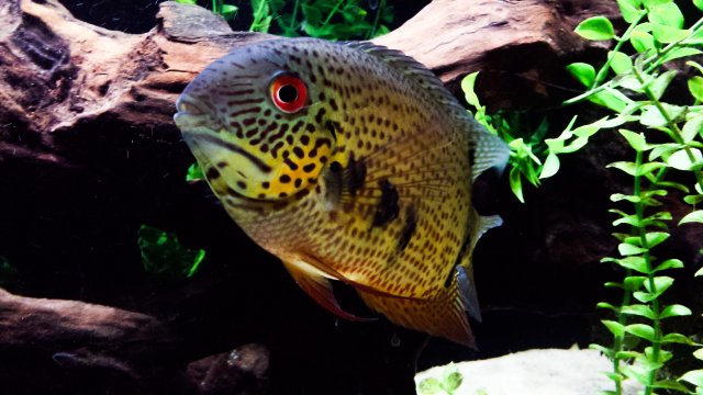 PSX_20160108_234445.jpg